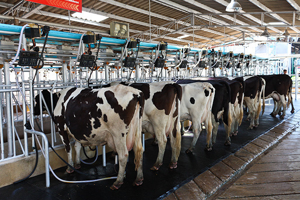 arkhon-panels-inside-agricultural-farm
